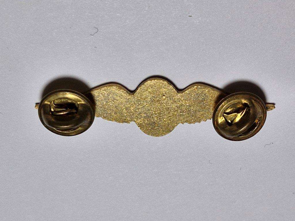 South African Army Air Reconnaissance Pilot wing Brevet. Mess Dress.