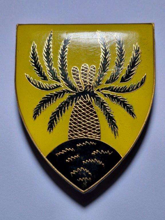 SADF 4 SAI shoulder flash.