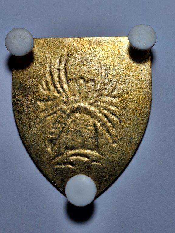 SADF 4 SAI shoulder flash.