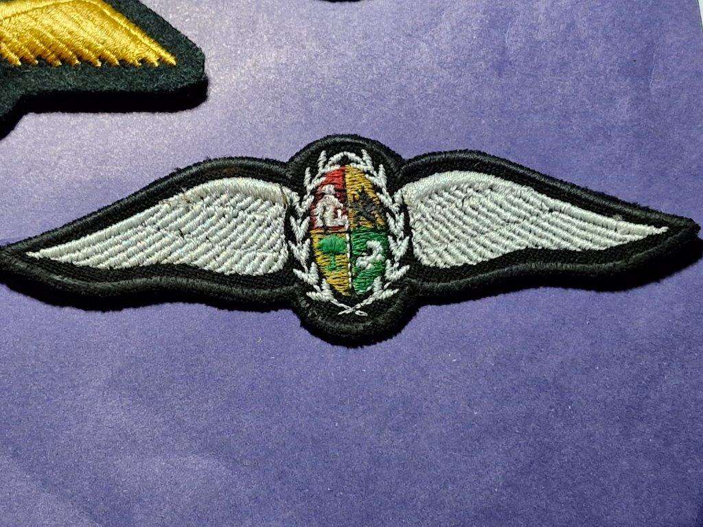 SAAF Pilot's Wing