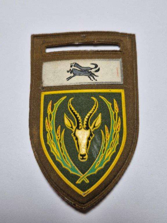 SADF 5 SAI tupperware shoulder flash. Pin intact