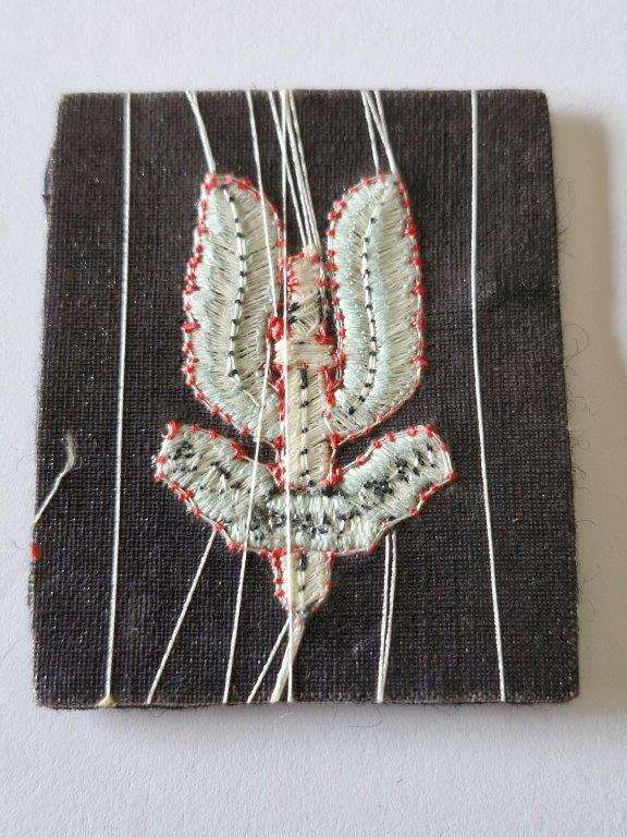 British Special Air Service cloth Badge