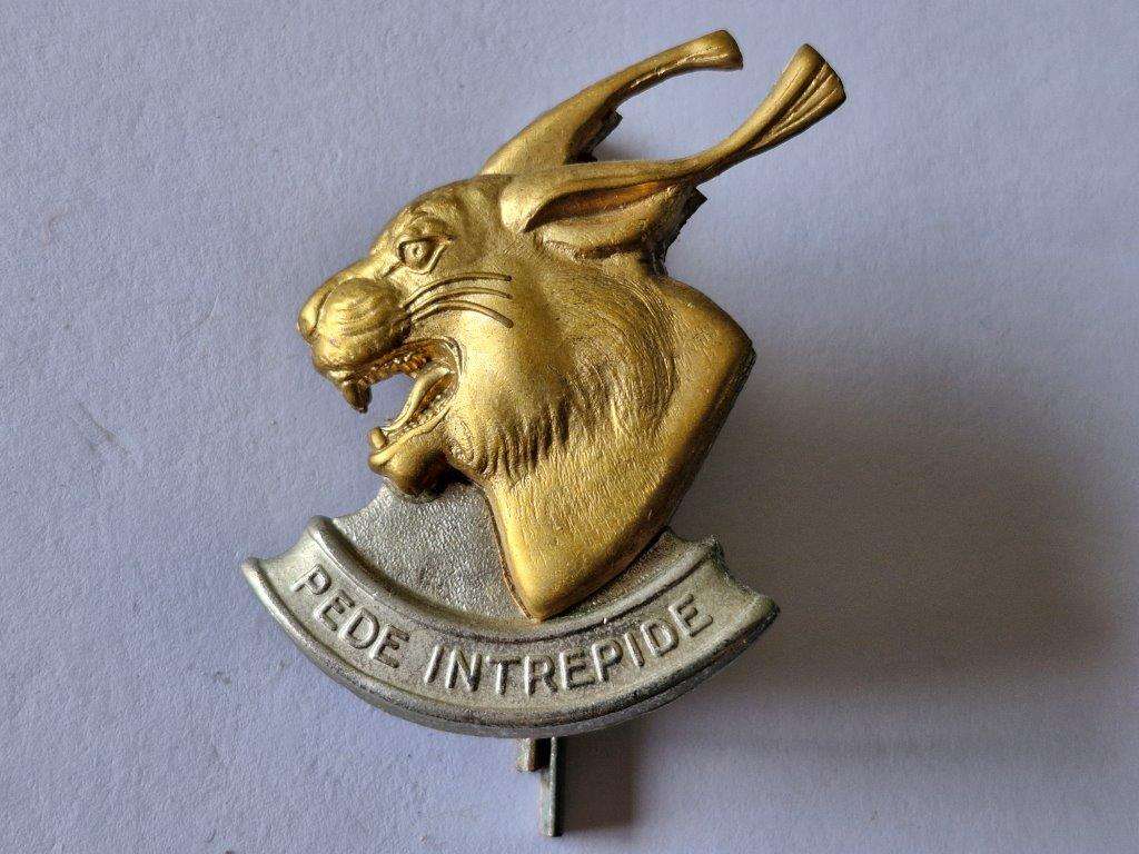 Regiment Pretorius Beret Badge.