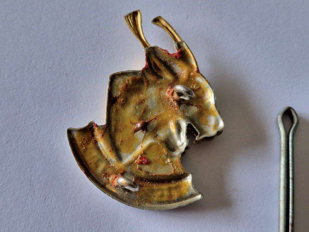 Regiment Pretorius Beret Badge.