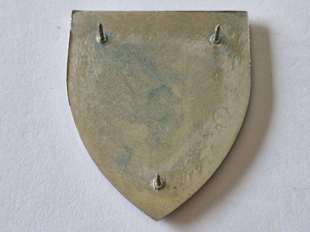 SADF 81 Armoured Brigade Shoulder Flash. Pins intact