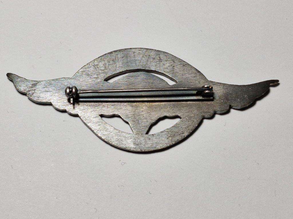 Argentina Parachute Wings