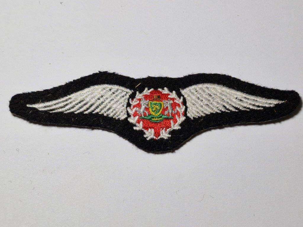 Venda Air Force Pilot Wing