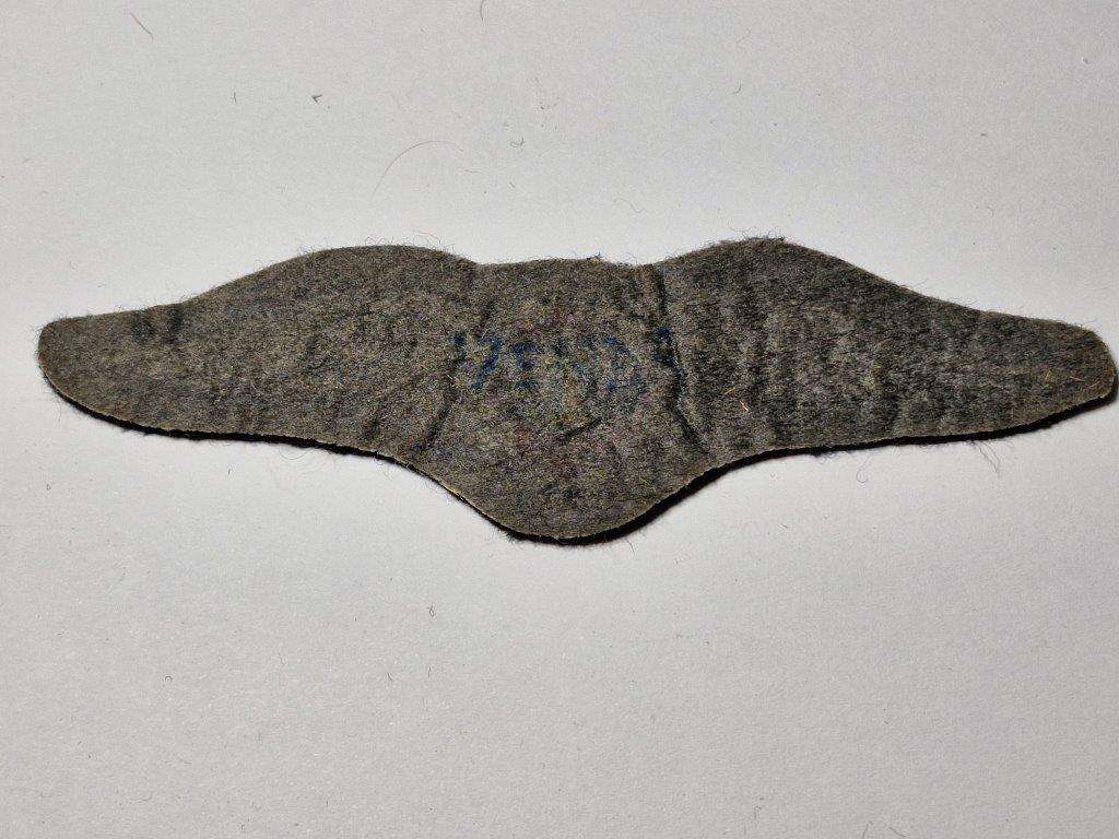 Venda Air Force Pilot Wing