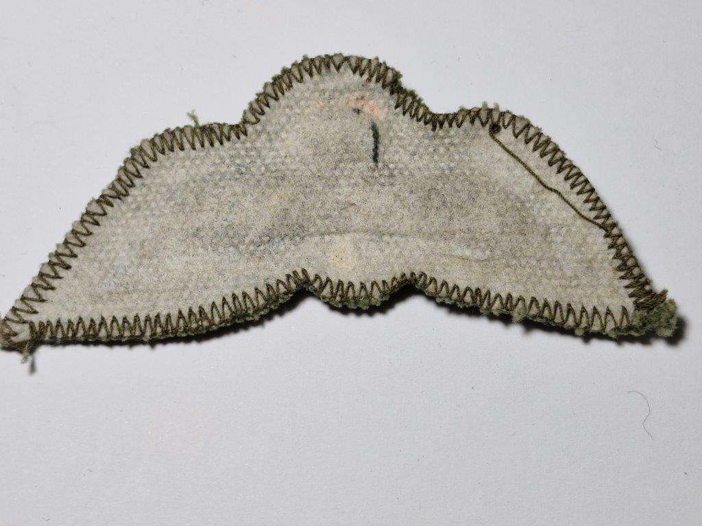 Rhodesian basic Parachute Wings. Possible copy?