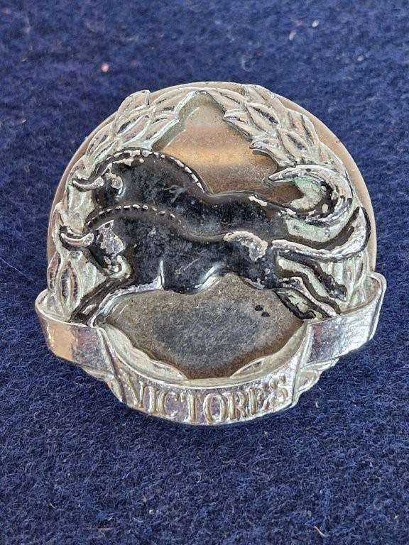 Natal Command Cap Badge