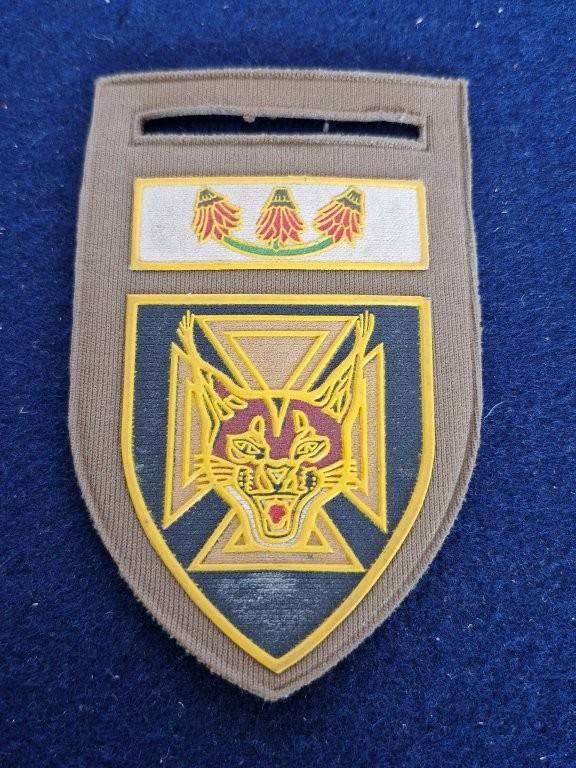 SADF 7 SAI shoulder flash.
