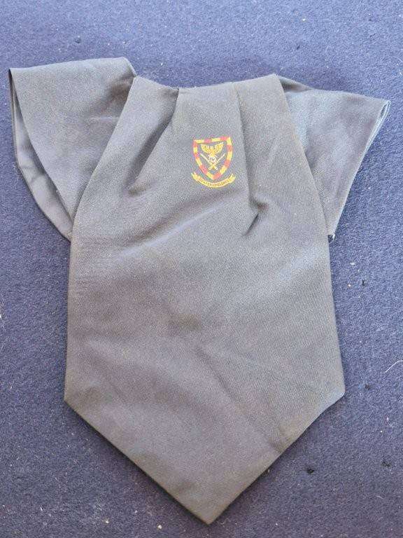 SADF 4th Field Artillery cravat