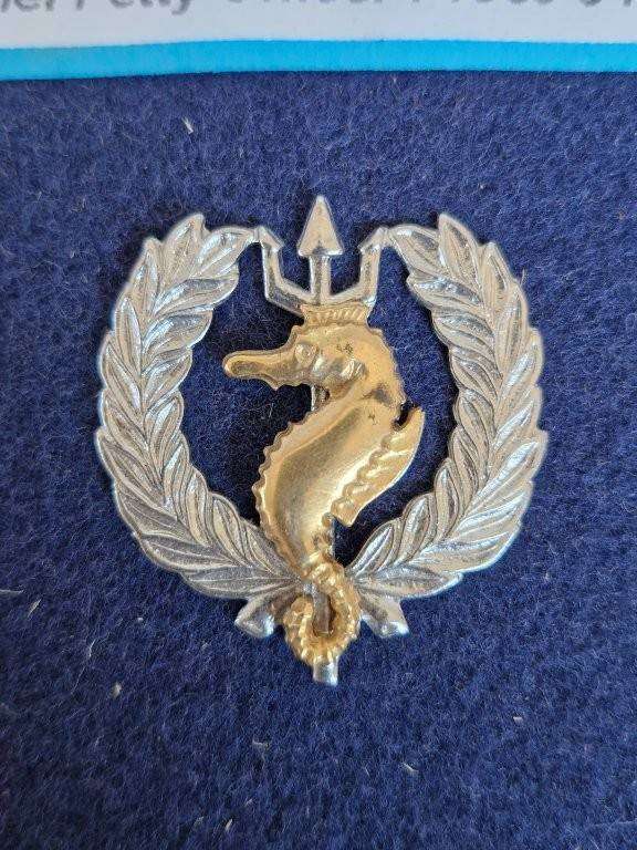 SA NAVY INDEPENDENT SHIPS AND AIR/SEA RESCUE FLOTILLA BI/METAL ONE PIECE BREAST BADGE