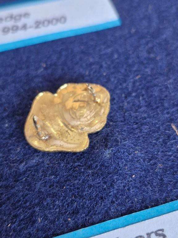 SA Navy Diver's Qualification badge