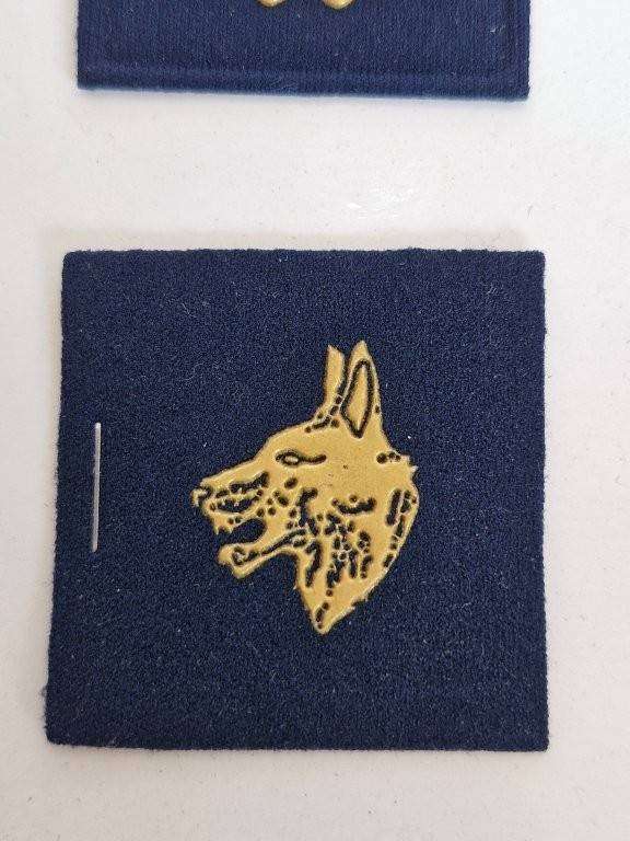 South African Air Force Dog Handler badge