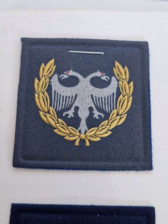 SAAF Protection Breast proficiency badge
