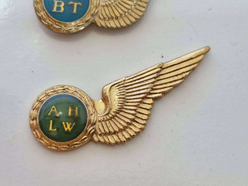 South African Air Force Air Hostess Half Wing. Mess dress size.