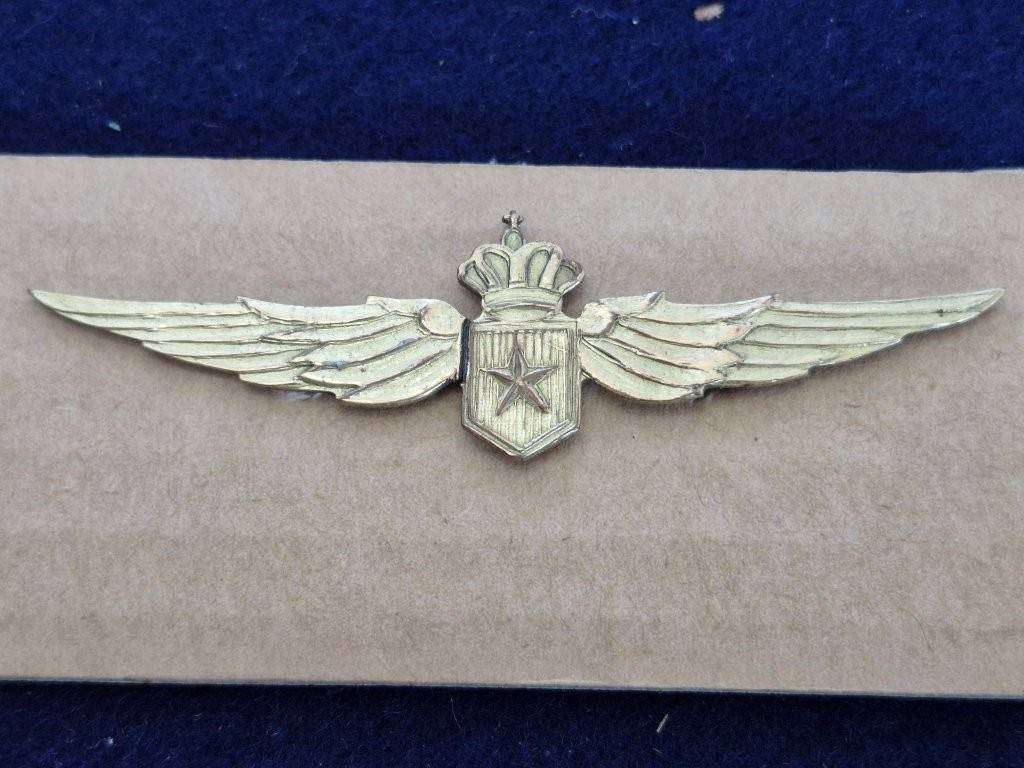 Unknown Air Force wings