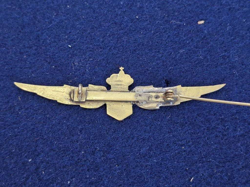 Unknown Air Force wings