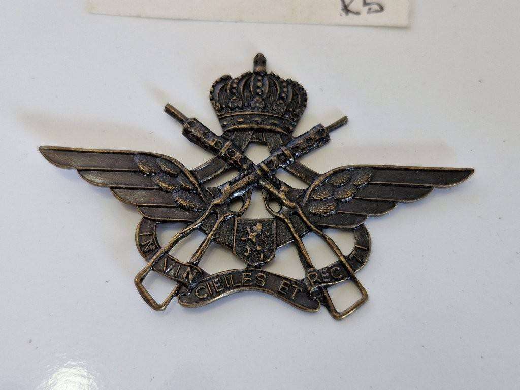 Belgian Airforce Force Protection & predecessors badge