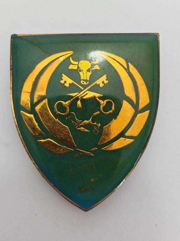 SADF Unknown Shoulder flash, possibly 10 SAI? Pins Intact.