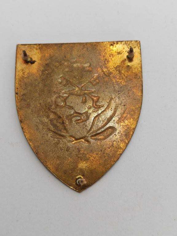 SADF Unknown Shoulder flash, possibly 10 SAI? Pins Intact.