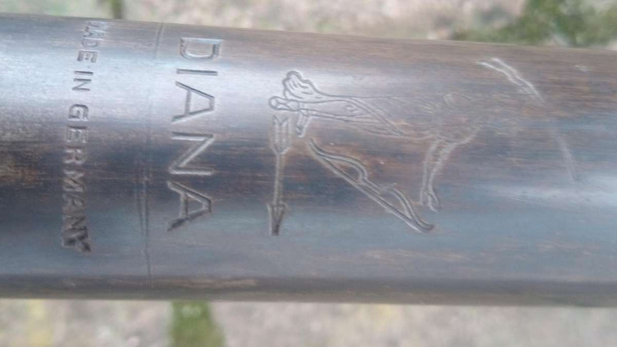 Vintage Diana air rifle