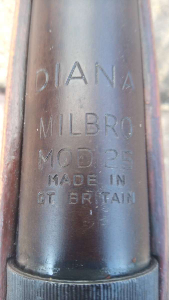 Diana 25 air rifle