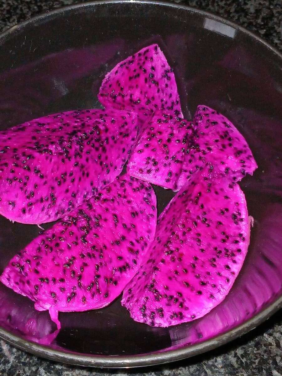 Ruby Red Dragon Fruit Cuttings