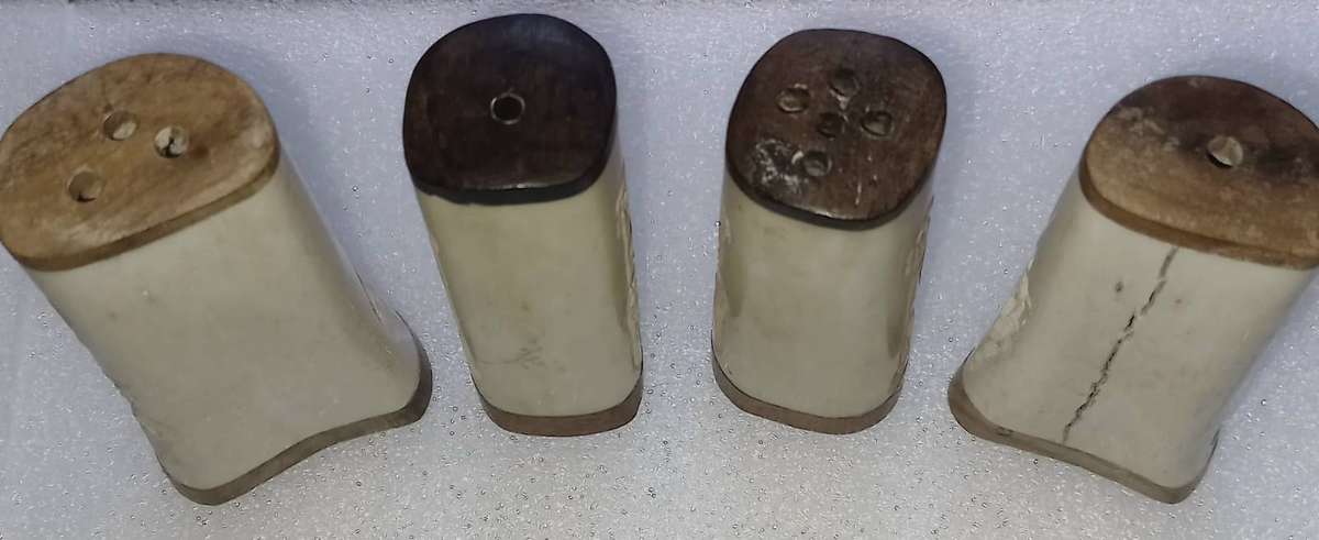 Bone Salt and Pepper Shakers