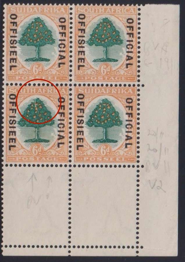 SA 1930 6d OFFICIAL "SPLIT TREE" VARIETY - RARE - MINT