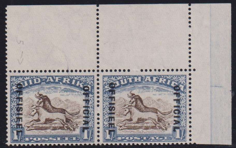 SOUTH AFRICA 1935  1/- OFFICIAL - SACC O31 UNMOUNTED MINT CORNER  - CV R1300