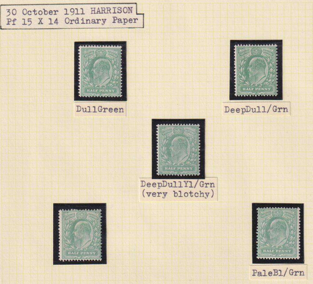 GREAT BRITAIN KEV11 1/2d MINT STUDY ON PAGES - HIGH CV