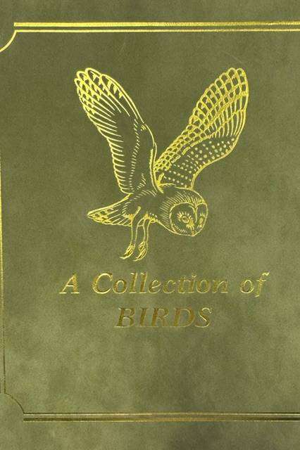 FANTASTIC COLLECTION OF 38 BIRDS FDC'S WITH "SILK" CACHETS IN ALBUM