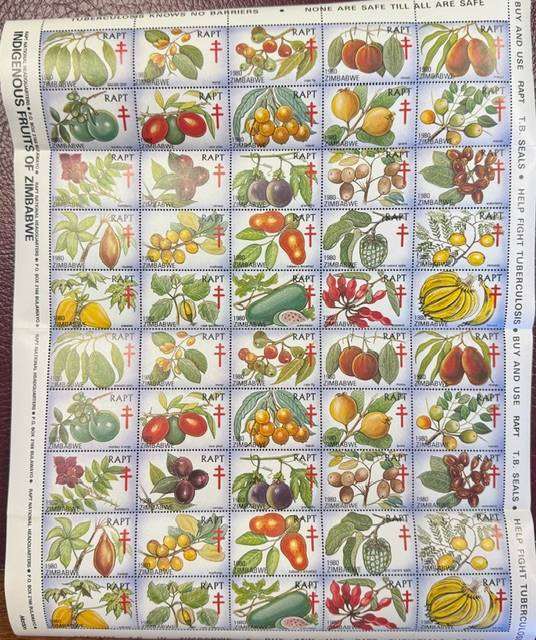 RHODESIA/ZIMBABWE PETROL RATION STAMPS & RAPT SHEET