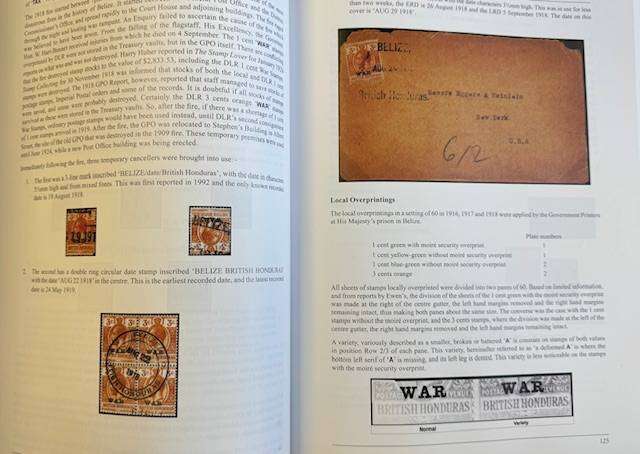 WW1 WAR TAX STAMPS - A SUPERB PUBLICATION
