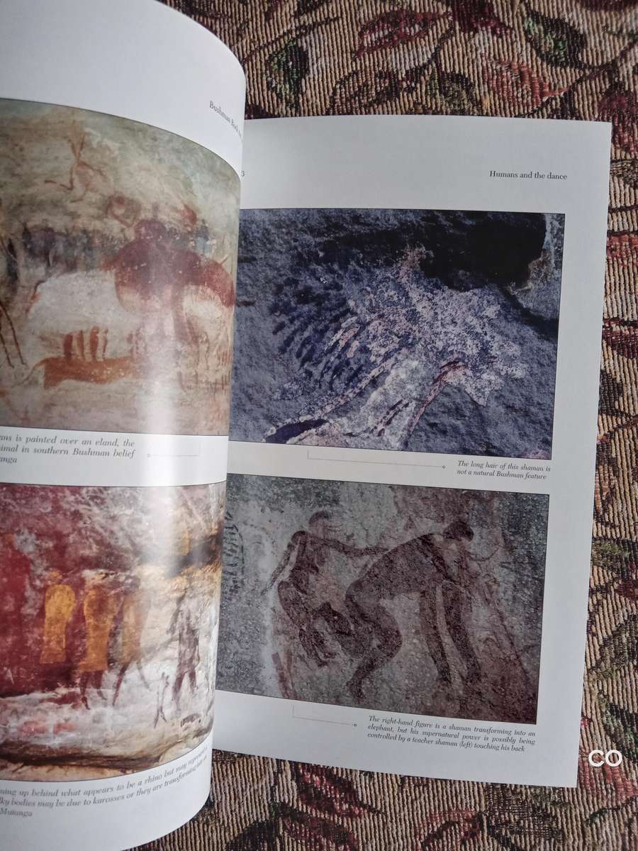 Bushman Rock Art -  Tim Forssman, Lee Gutteridge