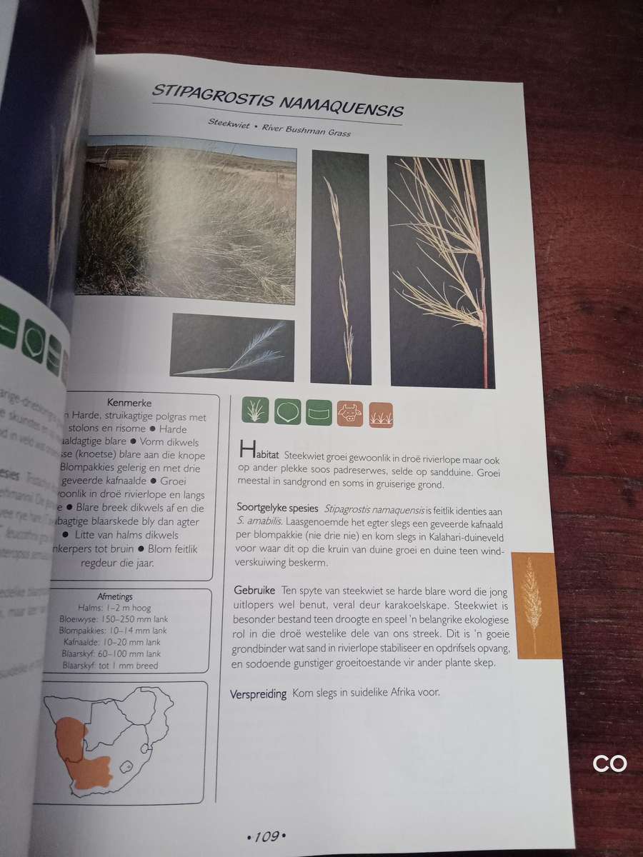 Grasse van Suider-Afrika