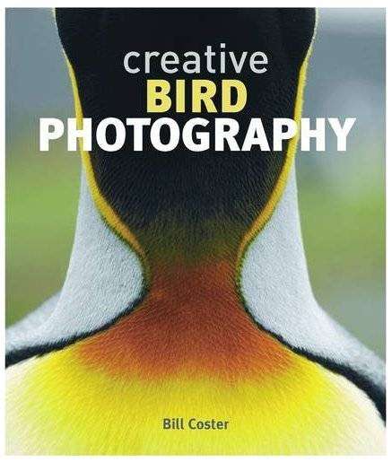 Creative Bird Photography Hardcover Book