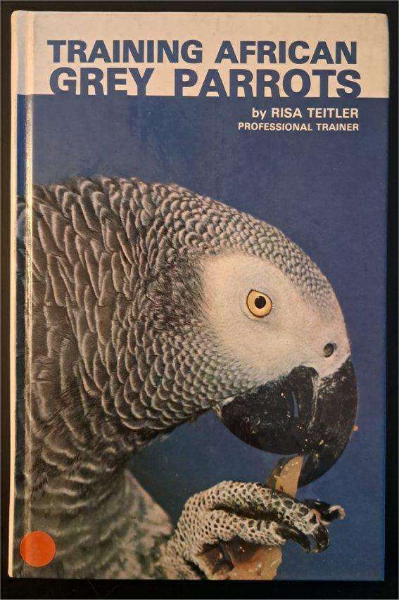 Training African Grey Parrots