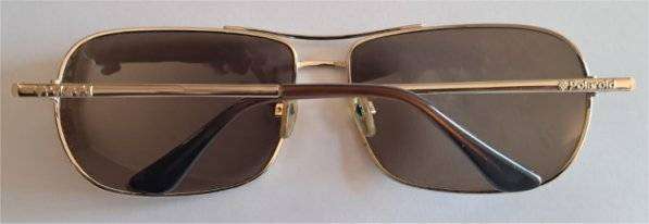 Mens POLAROID Sunglasses