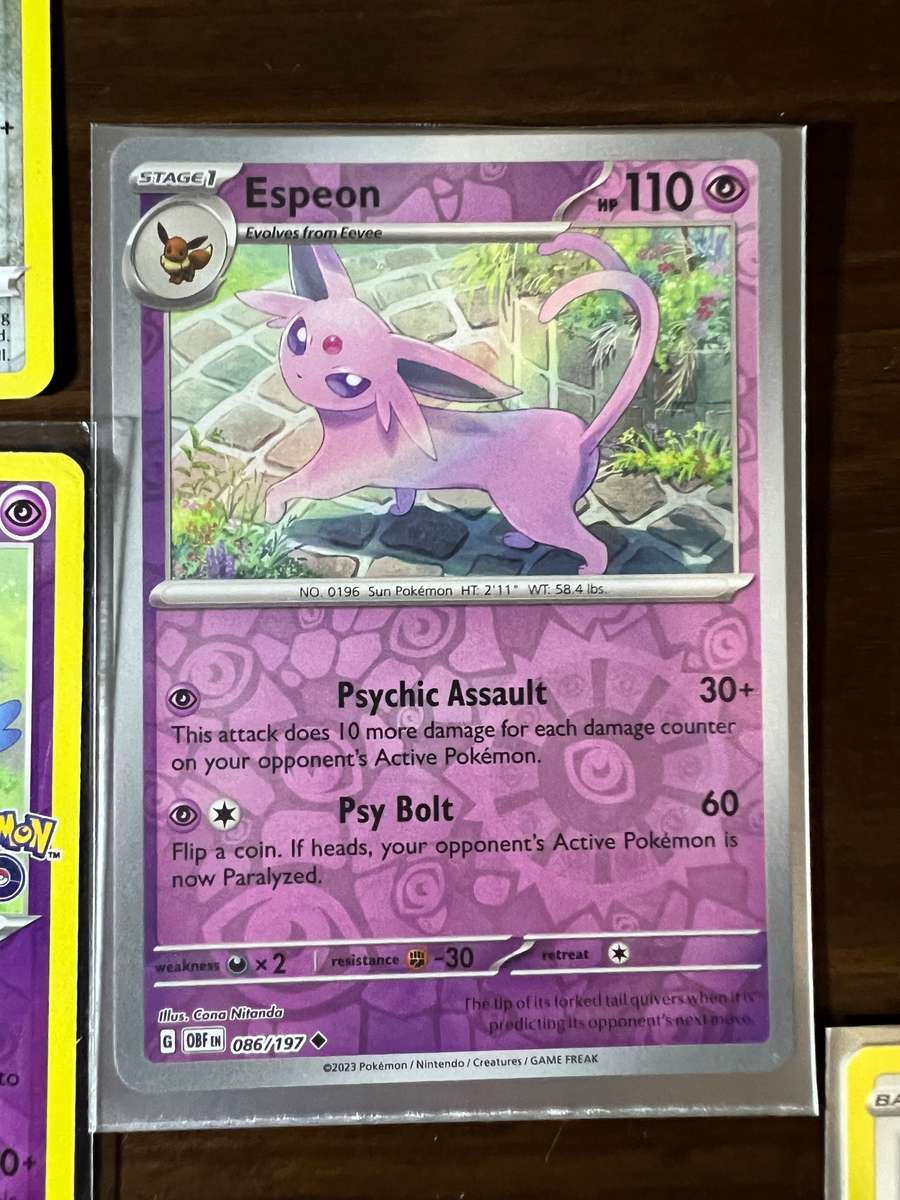 # Pokemon Trading Card Bundle #