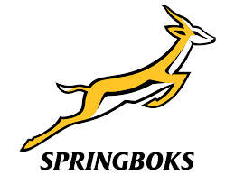 SA Springboks vs New Zealand Tickets - North Stand