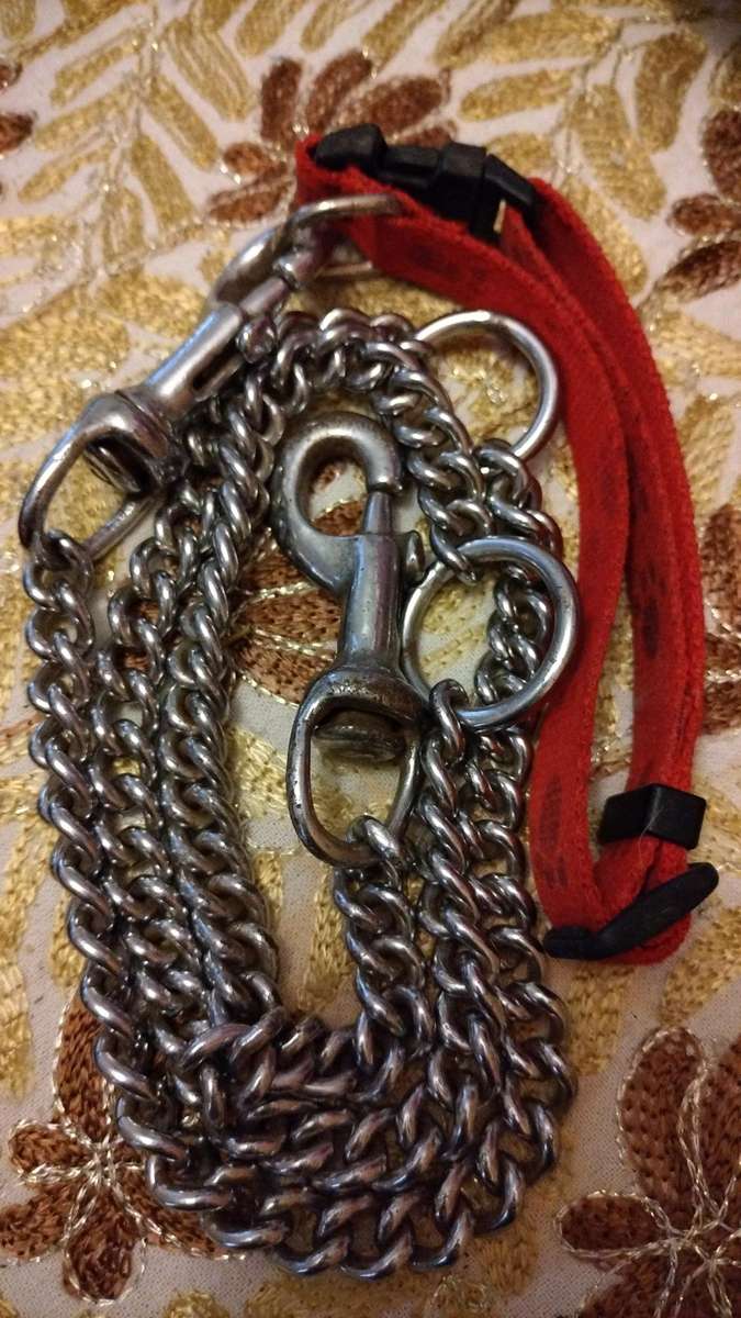 Great quality dog leash and chain combo