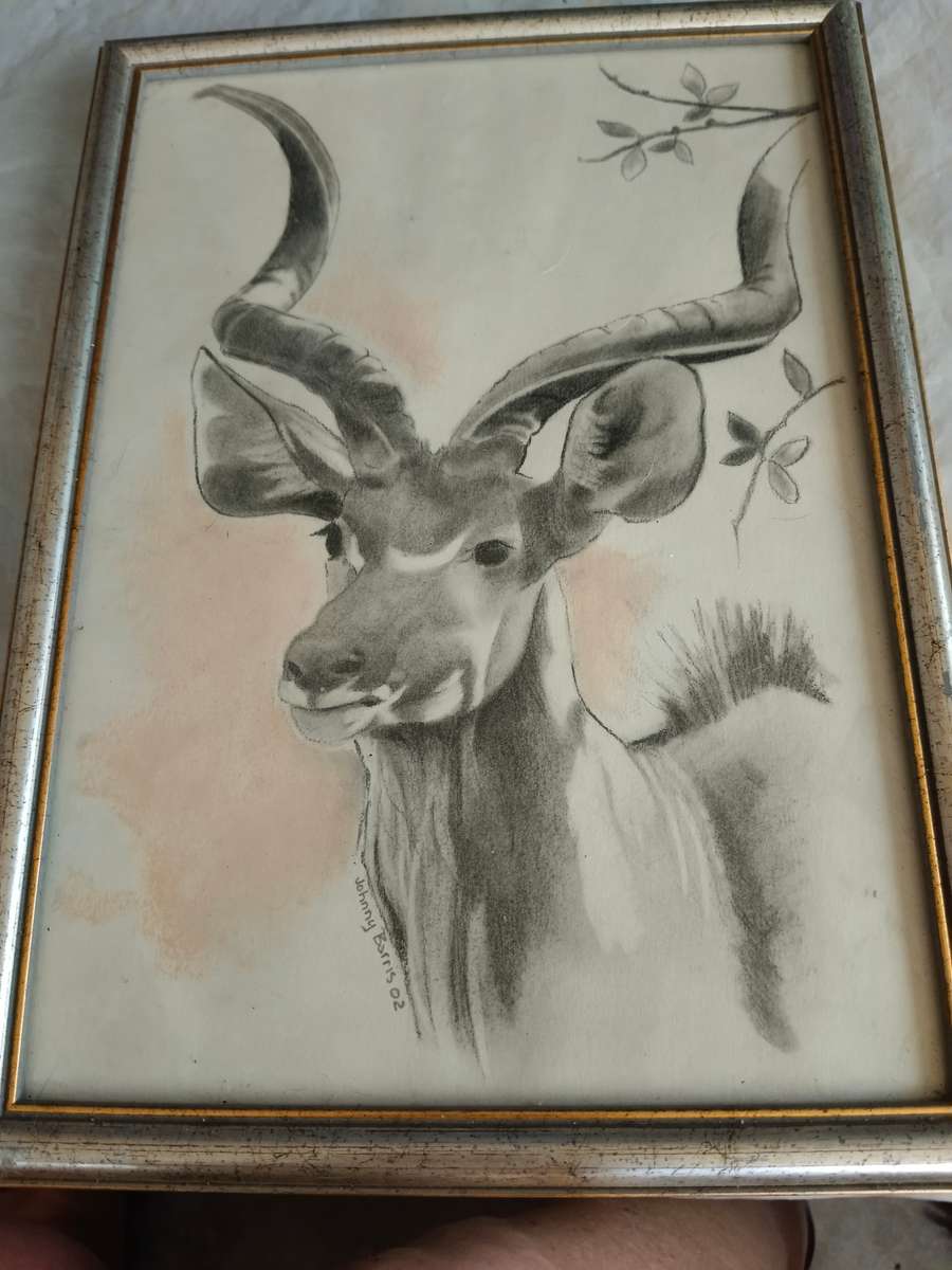 4 x animal pictures in frames