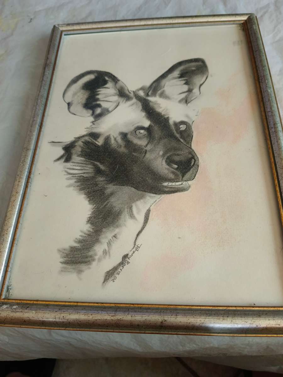 4 x animal pictures in frames