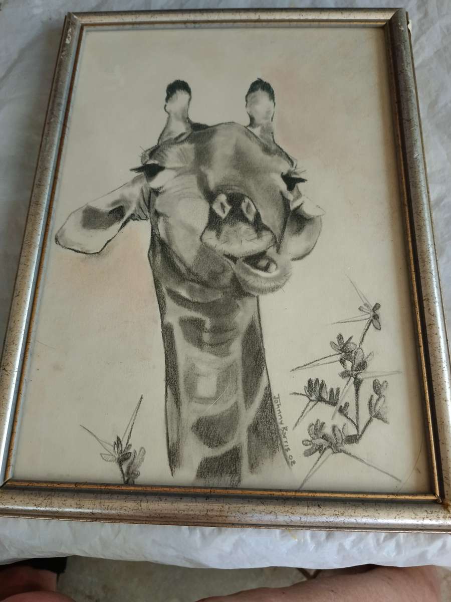 4 x animal pictures in frames