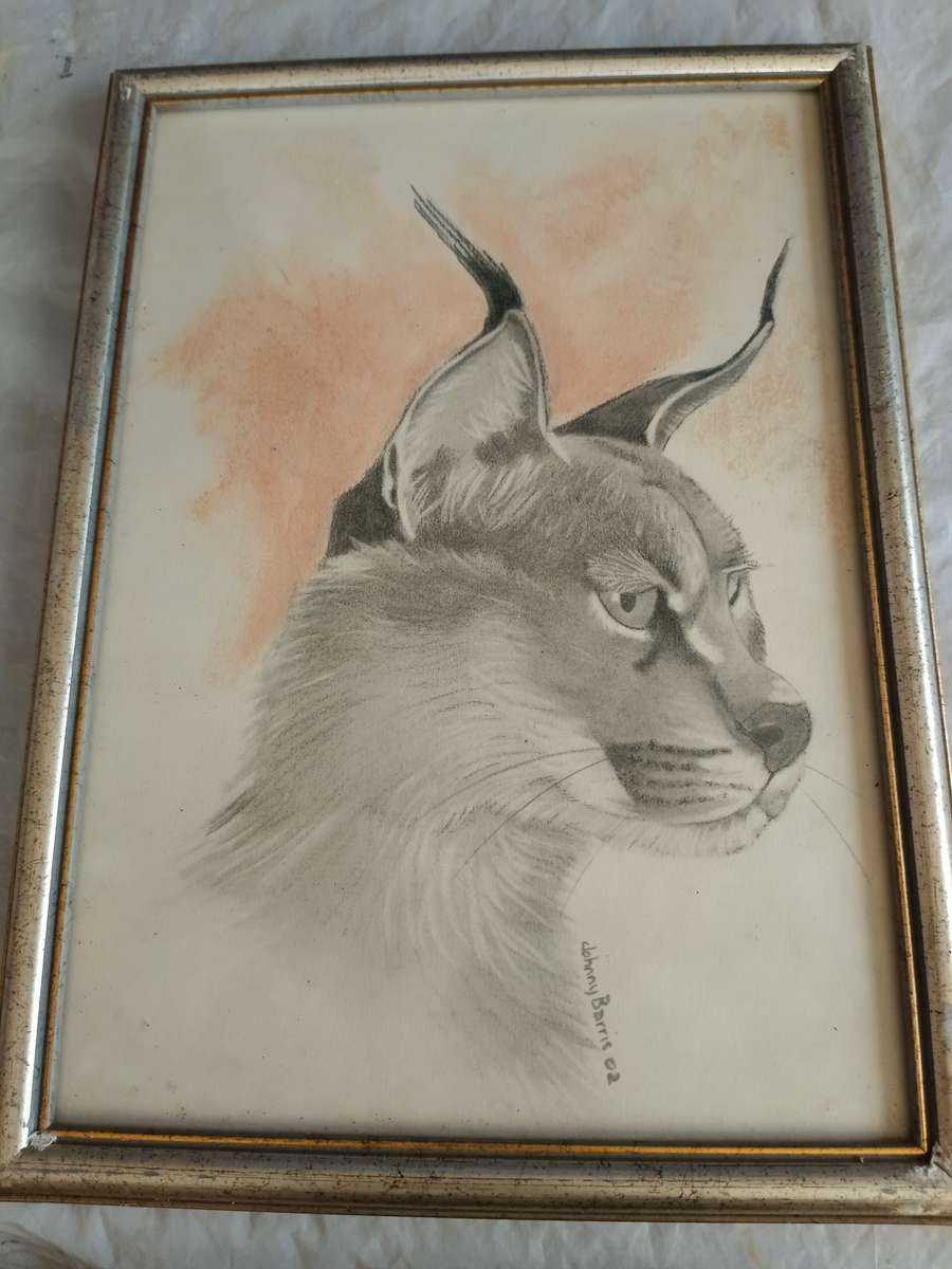 4 x animal pictures in frames