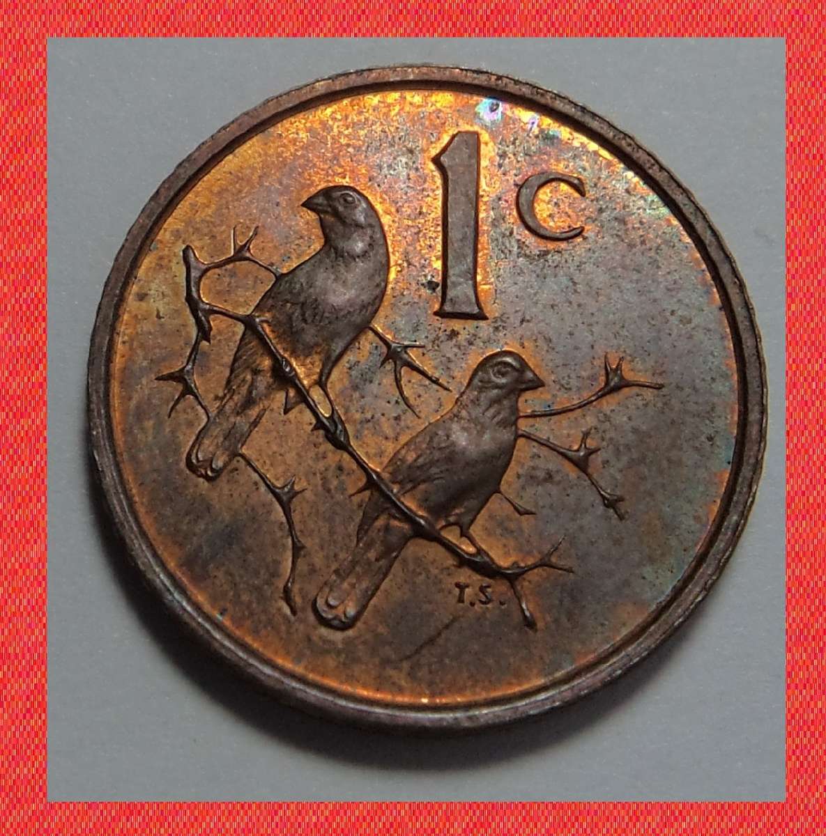 Crazy R1 Start! RSA English 1 Cent of 1965 (Lustrous)