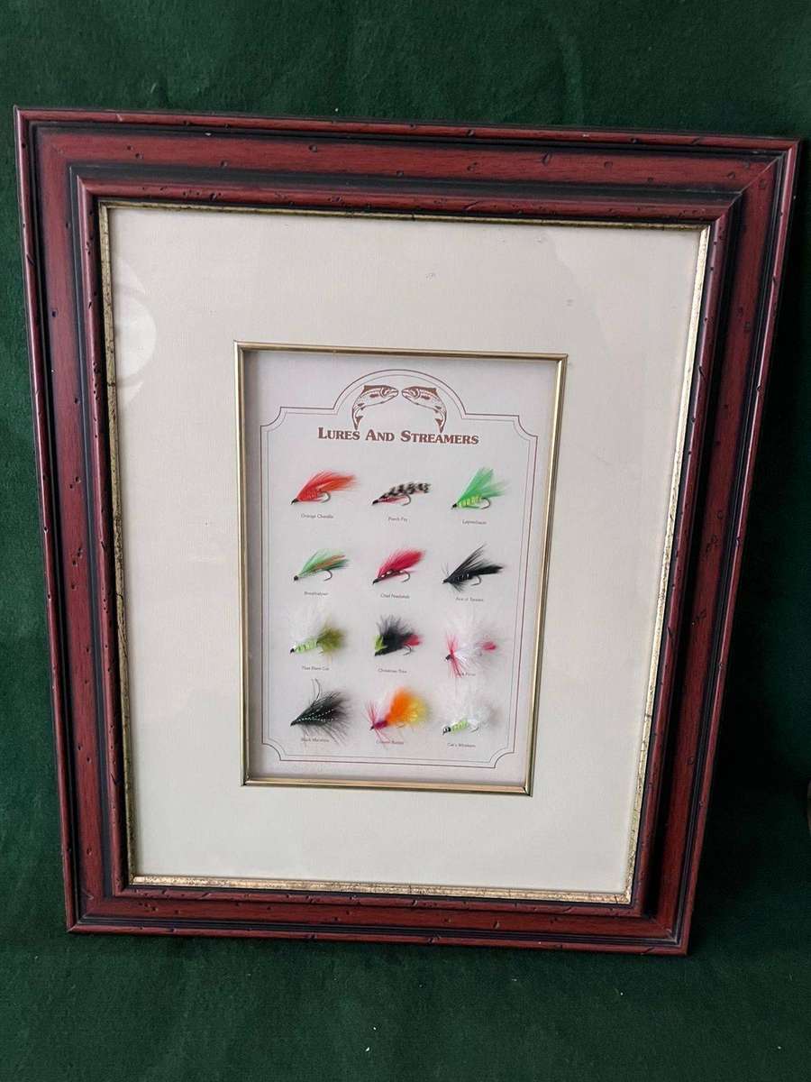 Flyfishing Frame : Beautiful frame of different flies (Lures & Streamers)